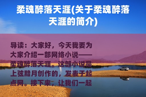 柔魂醉落天涯(关于柔魂醉落天涯的简介)