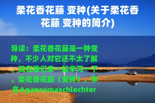 柔花香花藤 变种(关于柔花香花藤 变种的简介)