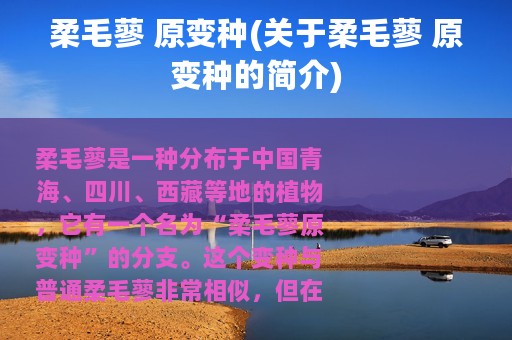 柔毛蓼 原变种(关于柔毛蓼 原变种的简介)