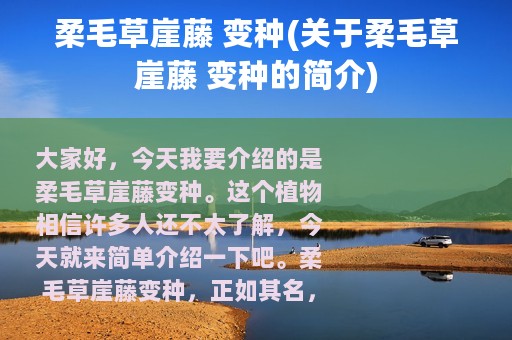 柔毛草崖藤 变种(关于柔毛草崖藤 变种的简介)