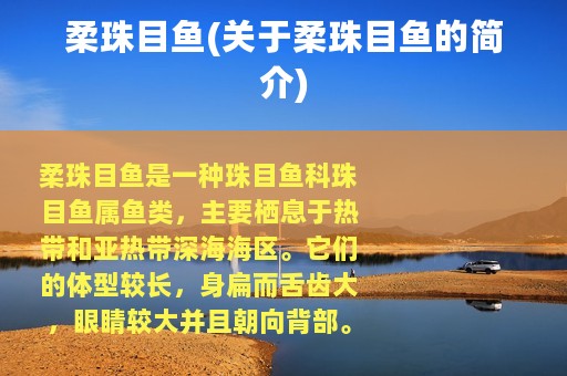 柔珠目鱼(关于柔珠目鱼的简介)