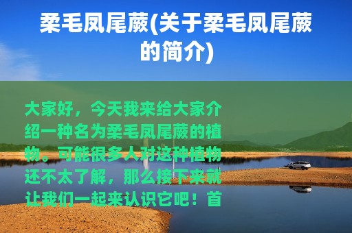 柔毛凤尾蕨(关于柔毛凤尾蕨的简介)