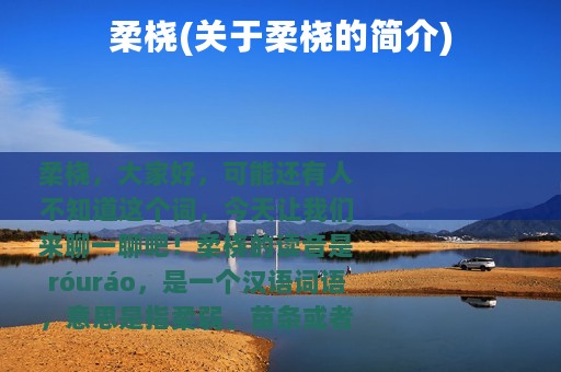 柔桡(关于柔桡的简介)