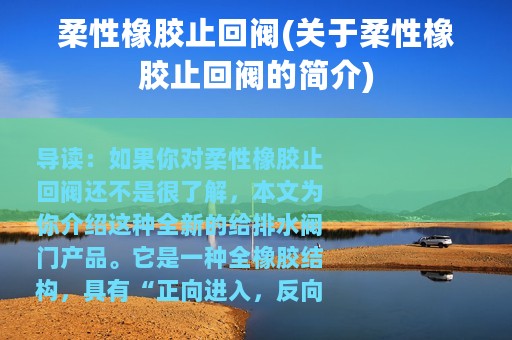 柔性橡胶止回阀(关于柔性橡胶止回阀的简介)