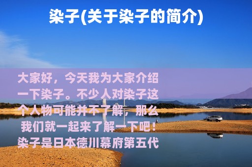 染子(关于染子的简介)