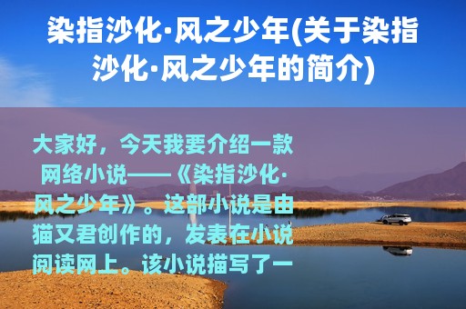 染指沙化·风之少年(关于染指沙化·风之少年的简介)