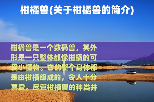 柑橘兽(关于柑橘兽的简介)