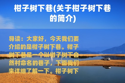 柑子树下巷(关于柑子树下巷的简介)