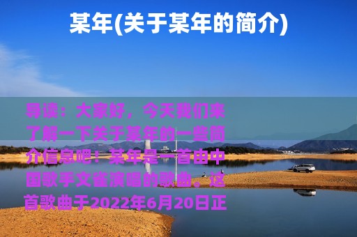 某年(关于某年的简介)