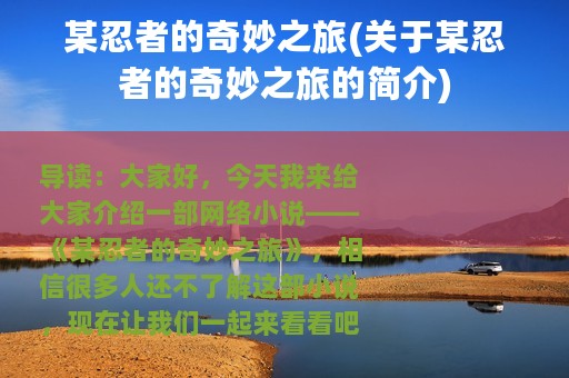 某忍者的奇妙之旅(关于某忍者的奇妙之旅的简介)