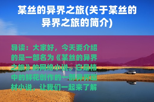 某丝的异界之旅(关于某丝的异界之旅的简介)
