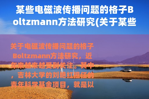 某些电磁波传播问题的格子Boltzmann方法研究(关于某些电磁波传播问题的格子Boltzmann方法研究的简介)
