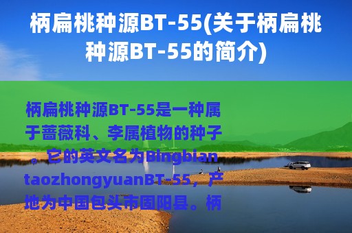 柄扁桃种源BT-55(关于柄扁桃种源BT-55的简介)