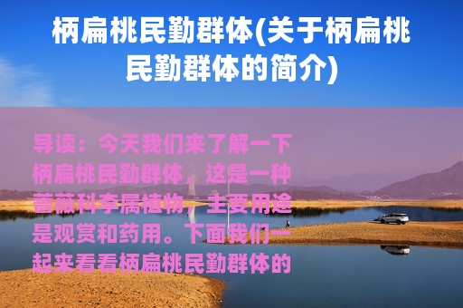 柄扁桃民勤群体(关于柄扁桃民勤群体的简介)
