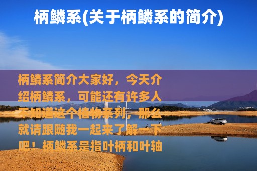 柄鳞系(关于柄鳞系的简介)