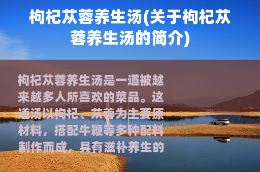 枸杞苁蓉养生汤(关于枸杞苁蓉养生汤的简介)