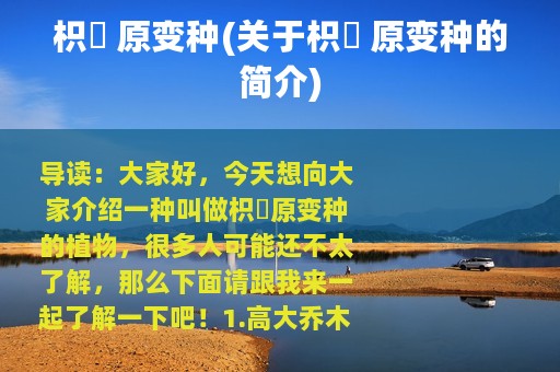 枳椇 原变种(关于枳椇 原变种的简介)