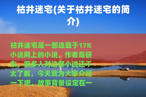 枯井迷宅(关于枯井迷宅的简介)