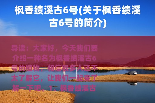 枫香绩溪古6号(关于枫香绩溪古6号的简介)