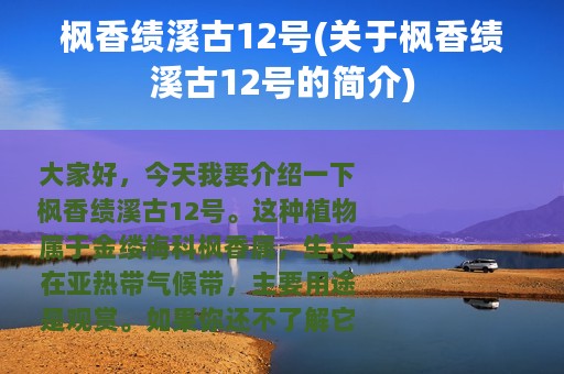 枫香绩溪古12号(关于枫香绩溪古12号的简介)