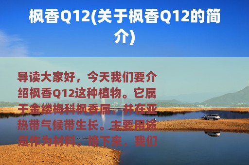 枫香Q12(关于枫香Q12的简介)
