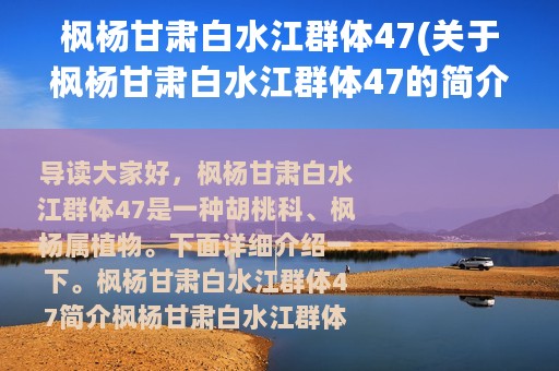 枫杨甘肃白水江群体47(关于枫杨甘肃白水江群体47的简介)