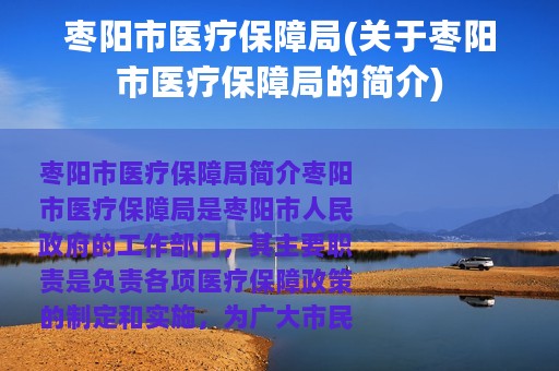 枣阳市医疗保障局(关于枣阳市医疗保障局的简介)