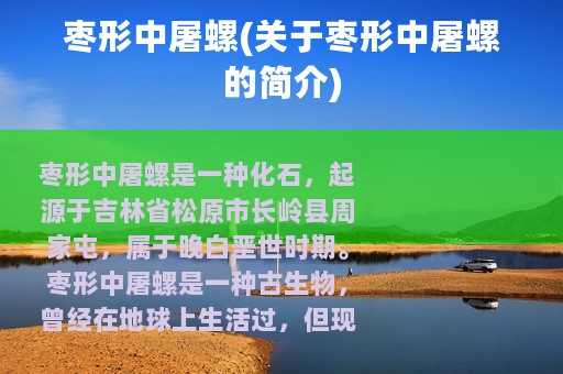 枣形中屠螺(关于枣形中屠螺的简介)