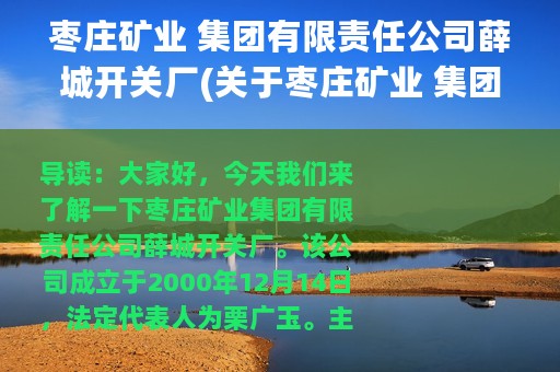枣庄矿业 集团有限责任公司薛城开关厂(关于枣庄矿业 集团有限责任公司薛城开关厂的简介)