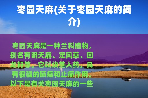 枣园天麻(关于枣园天麻的简介)