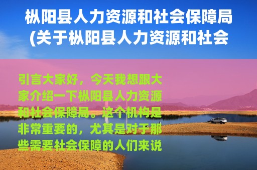 枞阳县人力资源和社会保障局(关于枞阳县人力资源和社会保障局的简介)