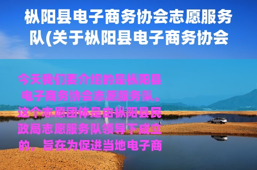 枞阳县电子商务协会志愿服务队(关于枞阳县电子商务协会志愿服务队的简介)