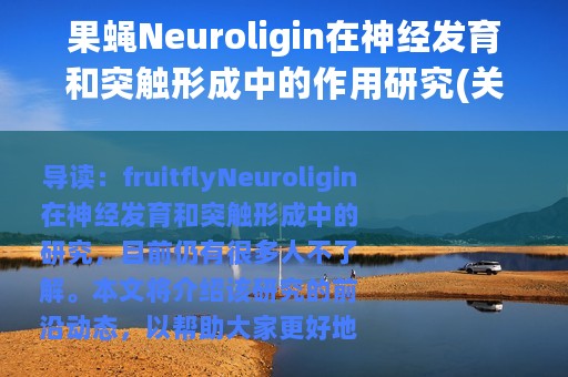 果蝇Neuroligin在神经发育和突触形成中的作用研究(关于果蝇Neuroligin在神经发育和突触形成中的作用研究的简介)