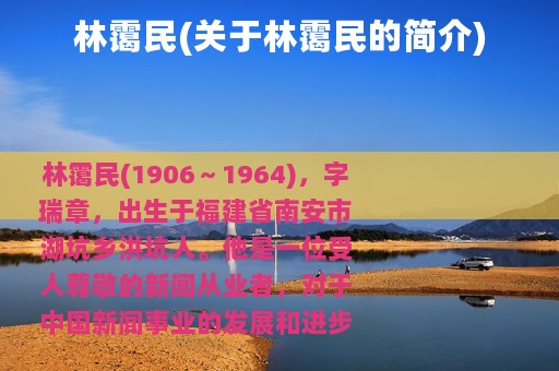林霭民(关于林霭民的简介)