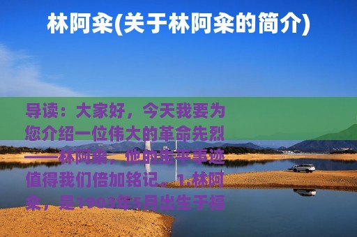 林阿籴(关于林阿籴的简介)