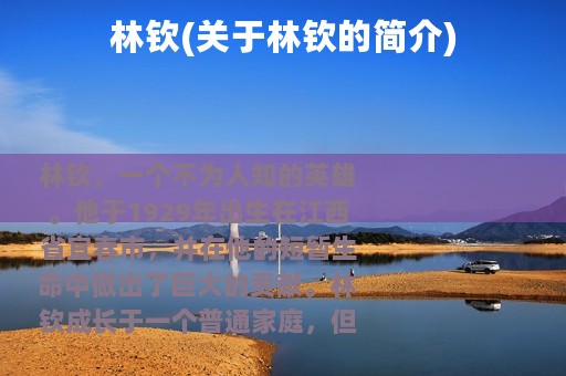 林钦(关于林钦的简介)