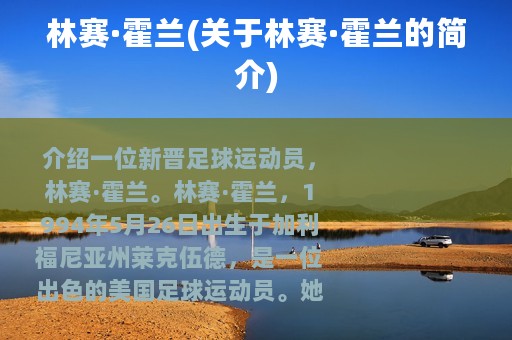 林赛·霍兰(关于林赛·霍兰的简介)