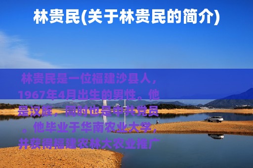 林贵民(关于林贵民的简介)