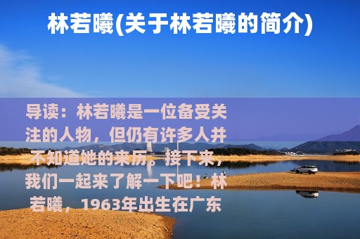 林若曦(关于林若曦的简介)