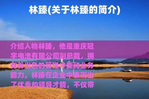 林臻(关于林臻的简介)