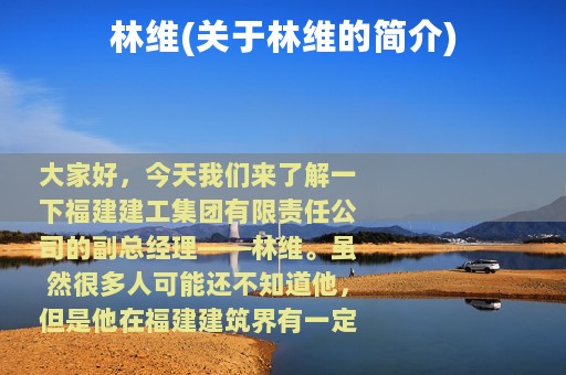 林维(关于林维的简介)