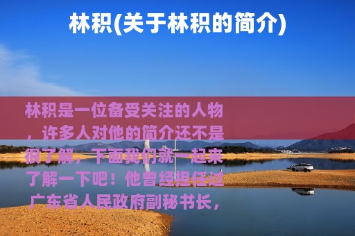 林积(关于林积的简介)