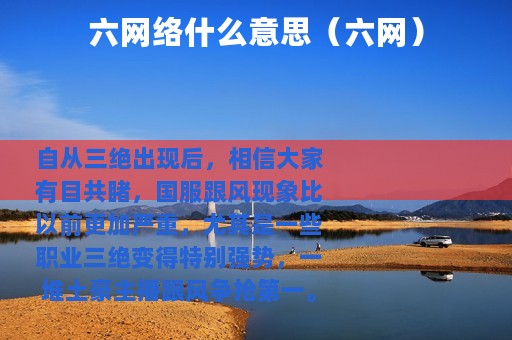 六网络什么意思（六网）