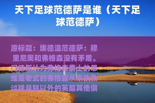 天下足球范德萨是谁（天下足球范德萨）