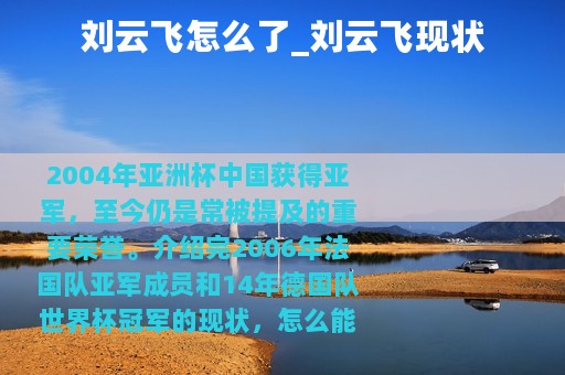 刘云飞怎么了_刘云飞现状