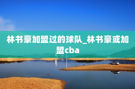 林书豪加盟过的球队_林书豪或加盟cba