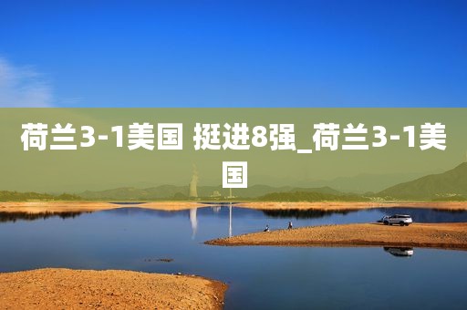 荷兰3-1美国 挺进8强_荷兰3-1美国
