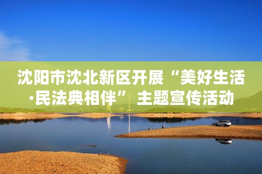 沈阳市沈北新区开展“美好生活·民法典相伴” 主题宣传活动