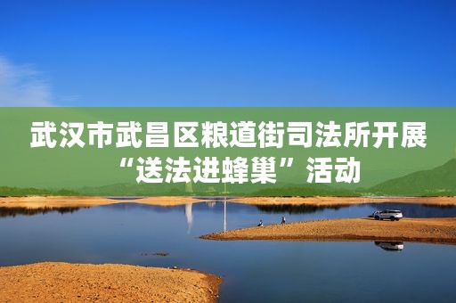 武汉市武昌区粮道街司法所开展“送法进蜂巢”活动