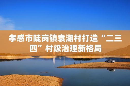 孝感市陡岗镇袁湖村打造“二三四”村级治理新格局